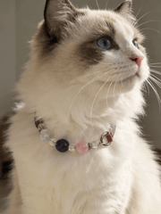 Luxury Pet Crystal Collar