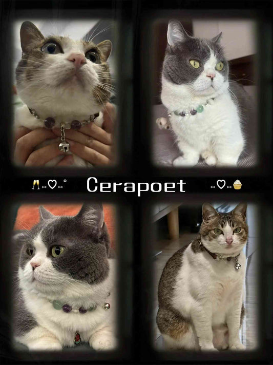 Collage of four cats wearing handcrafted beaded energy collars.