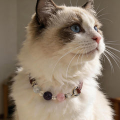 Natural Gemstone Symphony Pet Collar | Multi-Fluorite & Rose Quartz Genuine Leather