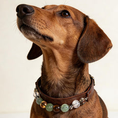 Fluorite Pet Crystal Collar | Hand-Strung Natural Gemstone & Soft Vegan-Friendly Material