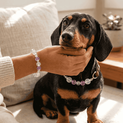 A person wearing a handcrafted beaded energy bracelet gently petting a black and tan dachshund.